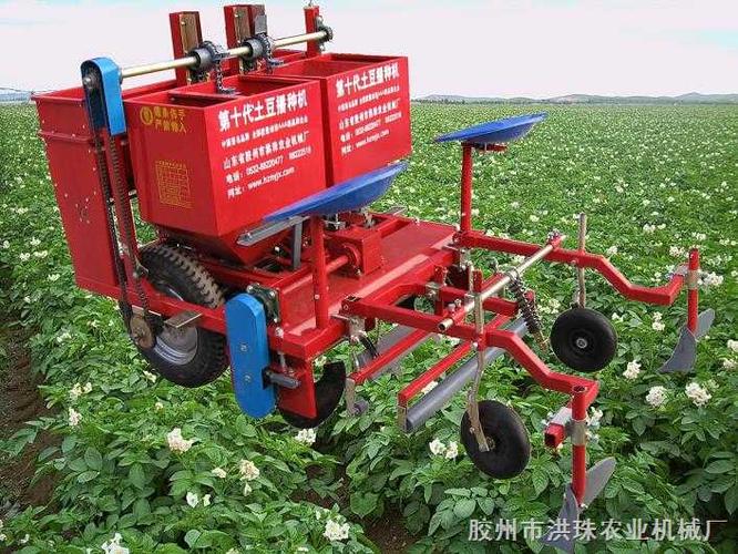 青岛洪珠2MB-1/2旋耕起垄型马铃薯播种机 高效种植的可靠之选